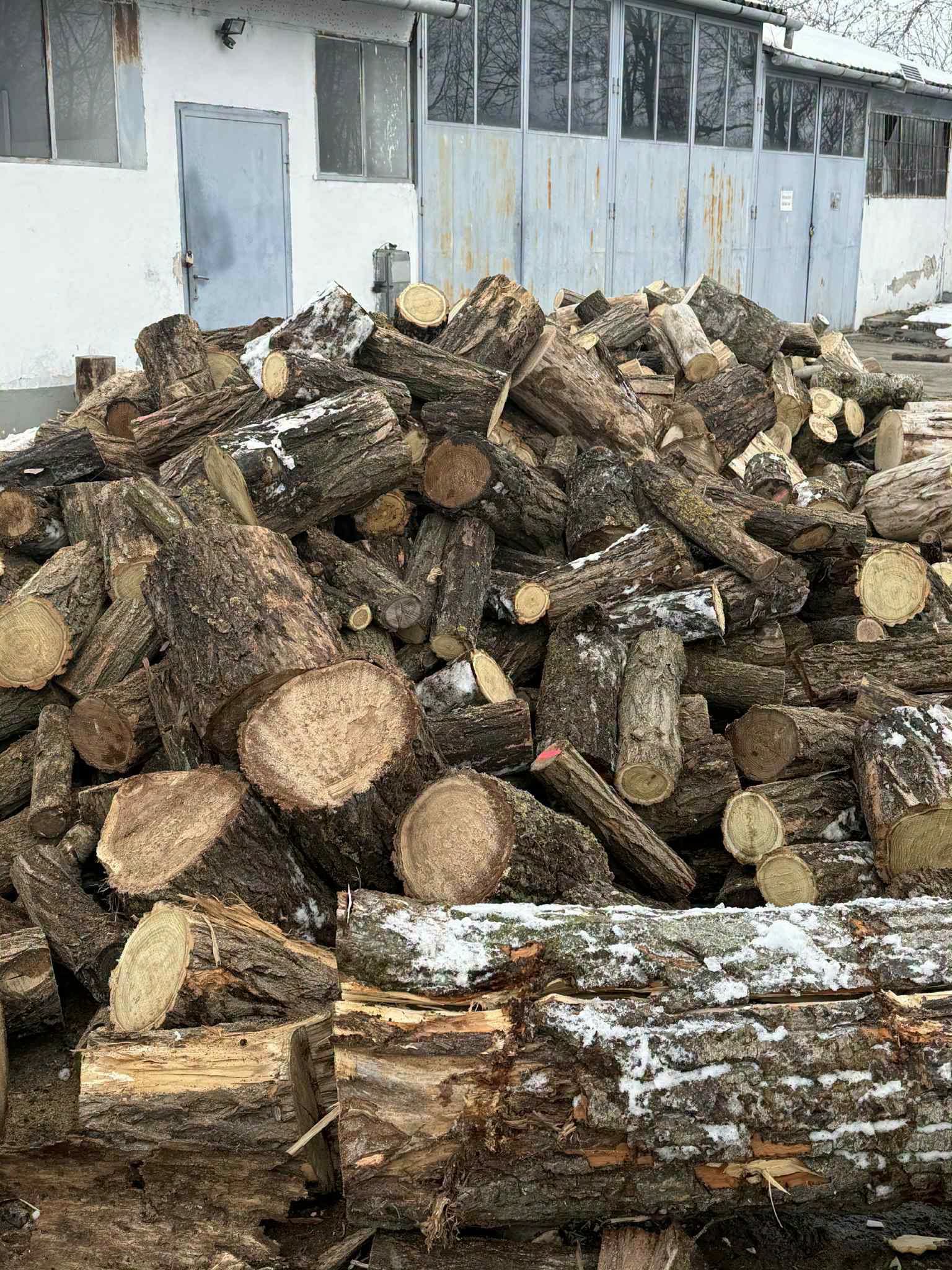 Nagy rakás feldarabolásra váró tűzifa egy épület előtt.